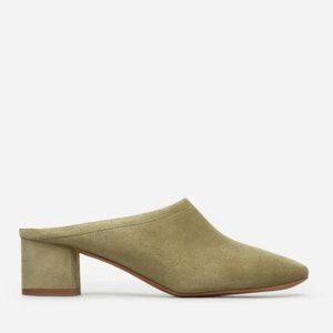 Everlane | Suede Mule in Olive
